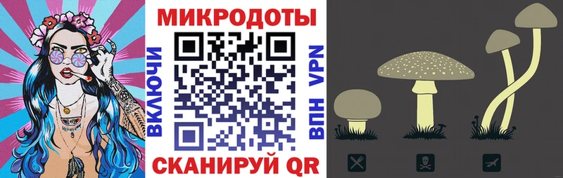 Псилоцибиновые грибы мицелий  Купить закладки  Багратионовск 
